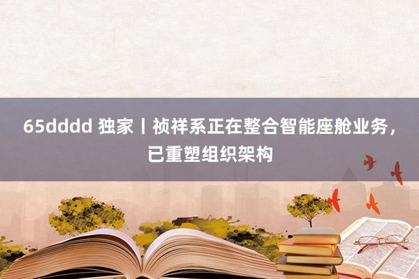 65dddd 独家丨祯祥系正在整合智能座舱业务，已重塑组织架构