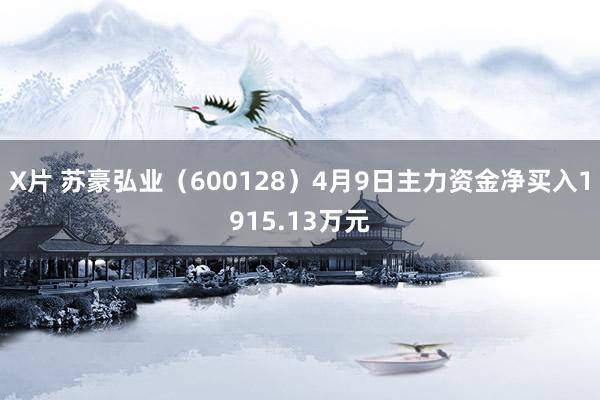 X片 苏豪弘业（600128）4月9日主力资金净买入1915.13万元