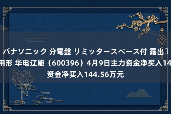 パナソニック 分電盤 リミッタースペース付 露出・半埋込両用形 华电辽能（600396）4月9日主力资金净买入144.56万元