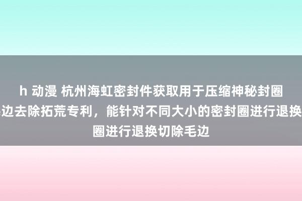 h 动漫 杭州海虹密封件获取用于压缩神秘封圈分娩的毛边去除拓荒专利，能针对不同大小的密封圈进行退换切除毛边