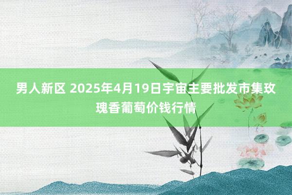 男人新区 2025年4月19日宇宙主要批发市集玫瑰香葡萄价钱行情