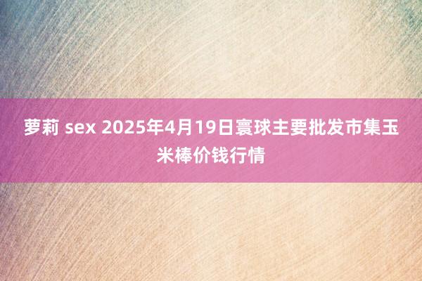 萝莉 sex 2025年4月19日寰球主要批发市集玉米棒价钱行情