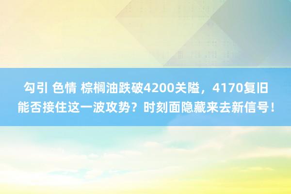 勾引 色情 棕榈油跌破4200关隘，4170复旧能否接住这一波攻势？时刻面隐藏来去新信号！