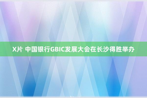 X片 中国银行GBIC发展大会在长沙得胜举办