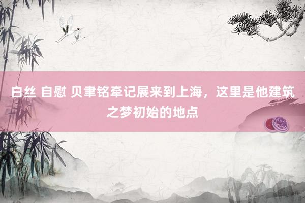 白丝 自慰 贝聿铭牵记展来到上海，这里是他建筑之梦初始的地点
