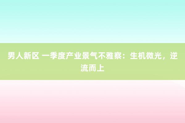 男人新区 一季度产业景气不雅察：生机微光，逆流而上