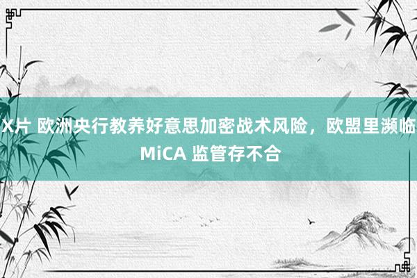 X片 欧洲央行教养好意思加密战术风险，欧盟里濒临 MiCA 监管存不合
