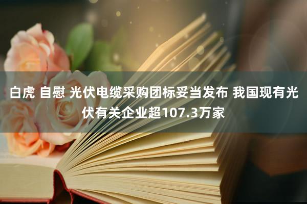 白虎 自慰 光伏电缆采购团标妥当发布 我国现有光伏有关企业超107.3万家