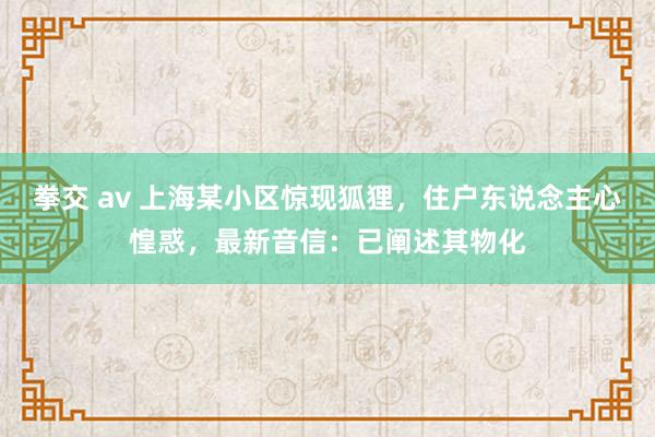 拳交 av 上海某小区惊现狐狸，住户东说念主心惶惑，最新音信：已阐述其物化